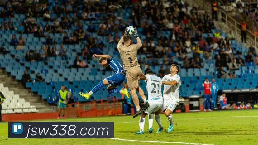 金沙国际娱乐平台生态图